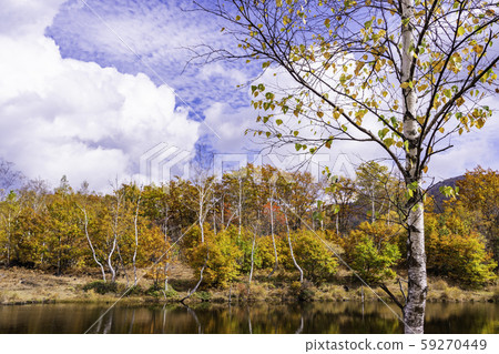 (Nagano Prefecture) Norikura Kogen / Ichinose Garden 59270449