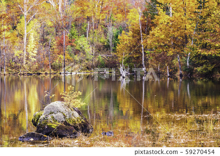 (Nagano Prefecture) Norikura Kogen / Ichinose Garden 59270454