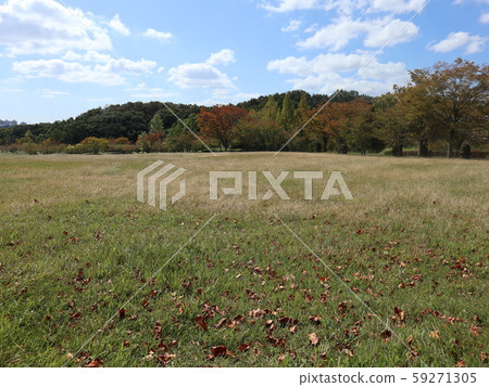 Kobe City Nishi-ku Park Trees 59271305