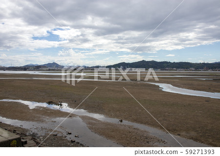 Tidal brackish water Tidal brackish water 59271393