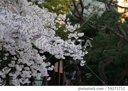 德壽宮溫泉 59271712