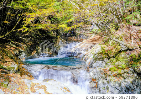 Autumn leaves and Mie Falls 1 Autumn leaves and Mie Falls 1 59271896