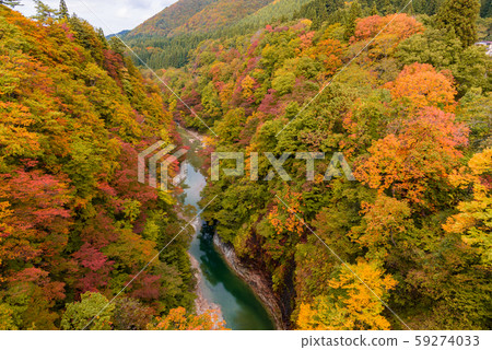 Autumn leaves of Konan gorge Autumn leaves of Konan gorge 59274033