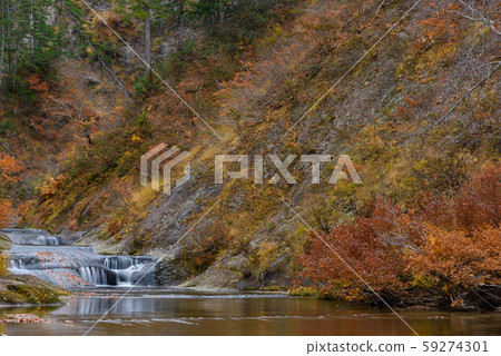 Momogu山谷 Momogu山谷 59274301