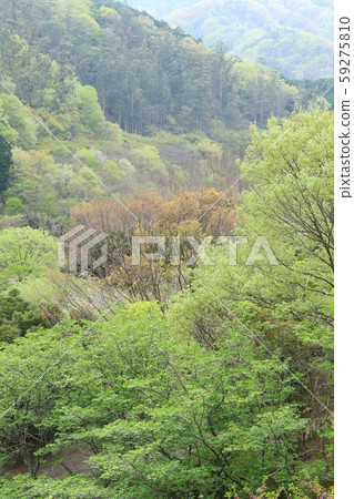 Spring fresh green mountain Spring fresh green mountain 59275810