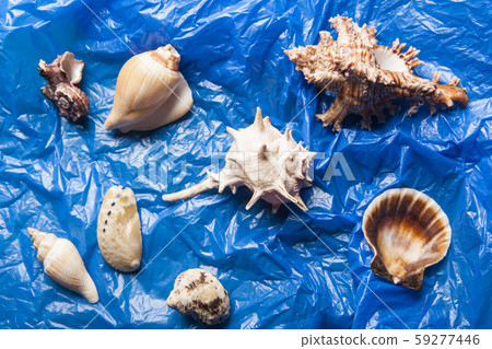 seashell blue garbage package background  59277446