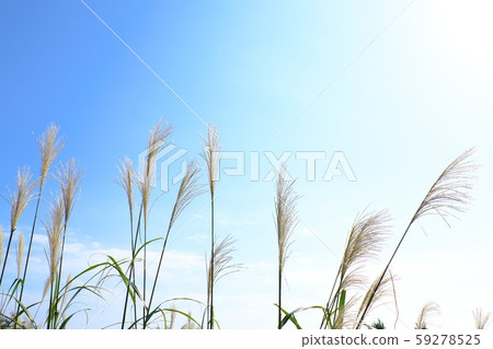 Susuki和秋天的天空 Susuki和秋天的天空 59278525