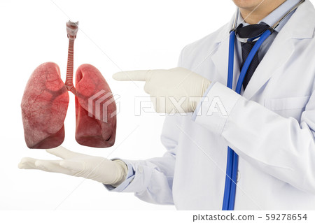 doctor check respiratory of lung , lungs disease , 3D concept  59278654