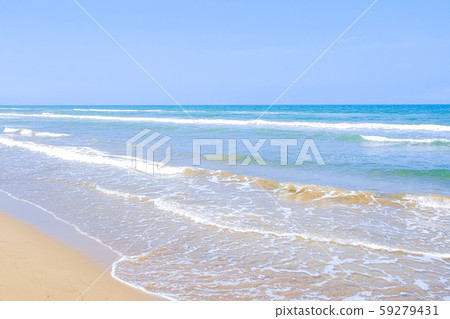 海 59279431