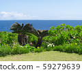 The sea of Okinawa 59279639