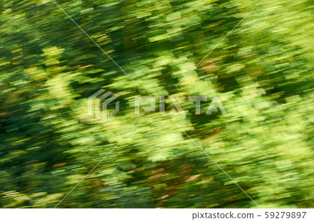 Tree in motion blur Tree in motion blur 59279897