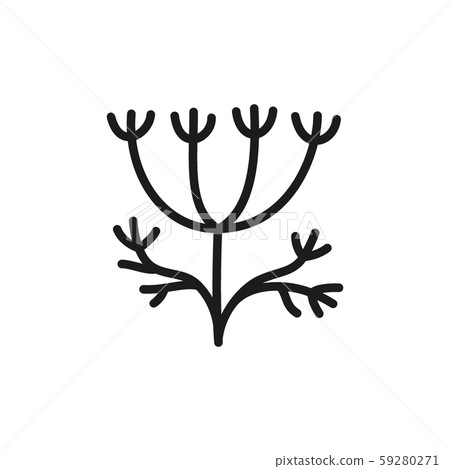 Dill, fresh flat color icon. Isolated on white background Dill, fresh flat color icon. Isolated on white background 59280271