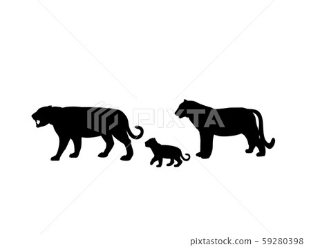 Tiger family. Silhouettes of animals 59280398
