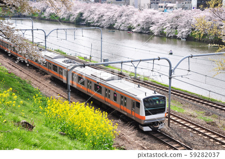 Chuo Line and cherry blossoms in full bloom, Ichigaya, Tokyo 59282037