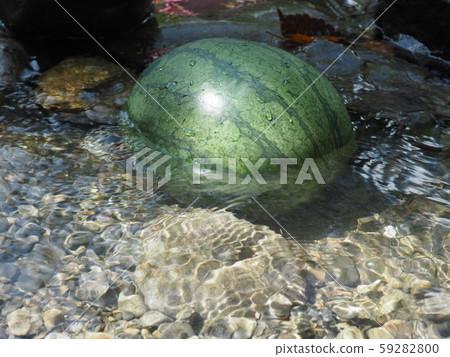 A watermelon A watermelon 59282800