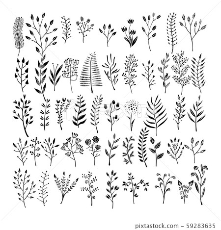 Vector floral elements in doodle style - flowers and leaves. Summer flowers for greeting cards, wedding designs or invitations. Vector floral elements in doodle style - flowers and leaves. Summer flowers for greeting cards, wedding designs or invitations. 59283635