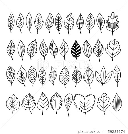 Elegant and beautiful autumn leaves and elements. Bright images for Thanksgiving Day Elegant and beautiful autumn leaves and elements. Bright images for Thanksgiving Day 59283674