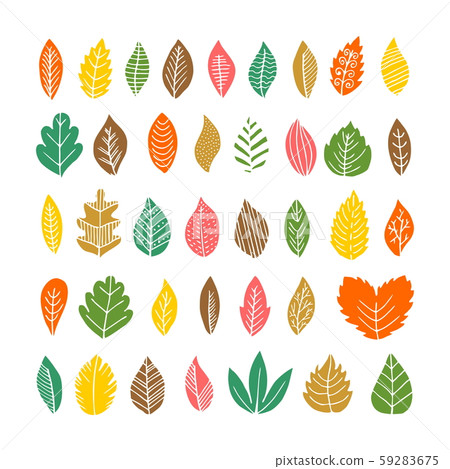 Elegant and beautiful autumn leaves and elements. Bright images for Thanksgiving Day Elegant and beautiful autumn leaves and elements. Bright images for Thanksgiving Day 59283675