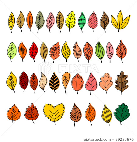 Elegant and beautiful autumn leaves and elements. Bright images for Thanksgiving Day 59283676