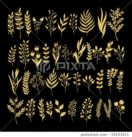 Vector floral elements in doodle style - flowers and leaves. Summer flowers for greeting cards, wedding designs or invitations. 59283851