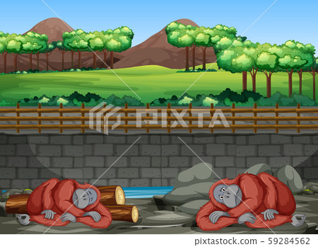 Scene with two gorillas in the zoo Scene with two gorillas in the zoo 59284562