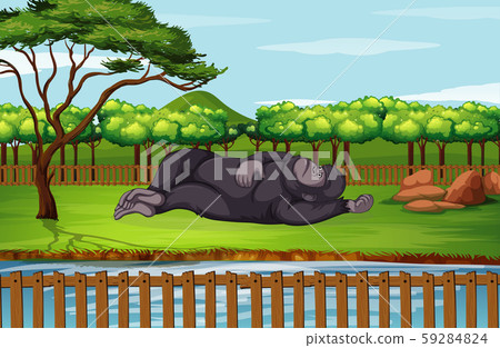 Scene with gorilla in the zoo Scene with gorilla in the zoo 59284824