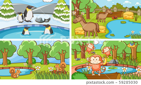 Background scenes of animals in the wild Background scenes of animals in the wild 59285030