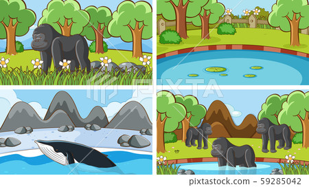 Background scenes of animals in the wild Background scenes of animals in the wild 59285042