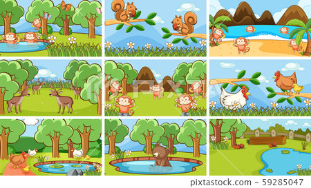 Background scenes of animals in the wild Background scenes of animals in the wild 59285047