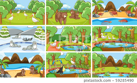 Background scenes of animals in the wild Background scenes of animals in the wild 59285490