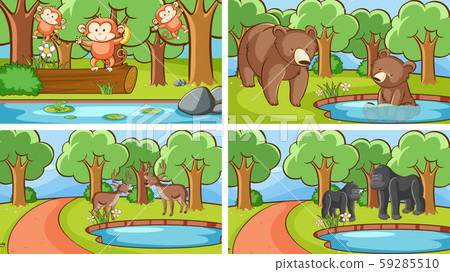 Background scenes of animals in the wild 59285510