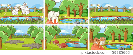 Background scenes of animals in the wild 59285603