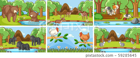 Background scenes of animals in the wild 59285645