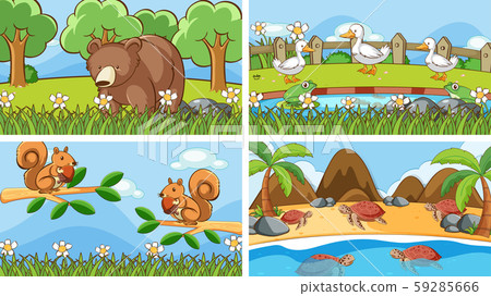 Background scenes of animals in the wild Background scenes of animals in the wild 59285666