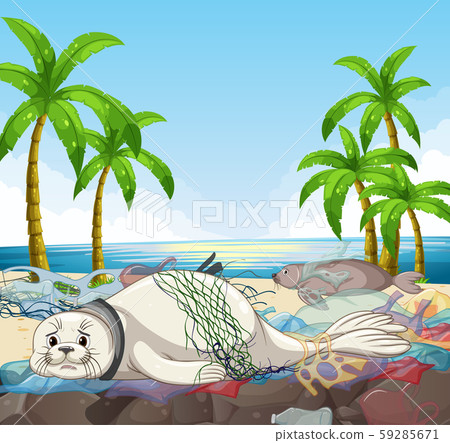 Scene with seals and plastic bags on beach 59285671