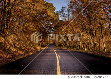 Vibrant colors in Blue Ridge Parkway roads during sunset at the Golden Hour 59285756