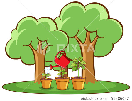 Isolated picture of plants in the garden 59286057