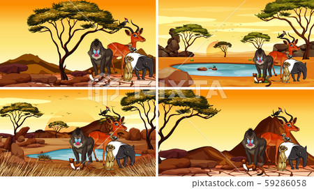 Four scenes with animals in the field Four scenes with animals in the field 59286058