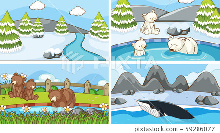 Background scenes of animals in the wild 59286077