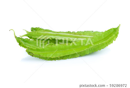 winged bean on white background winged bean on white background 59286972