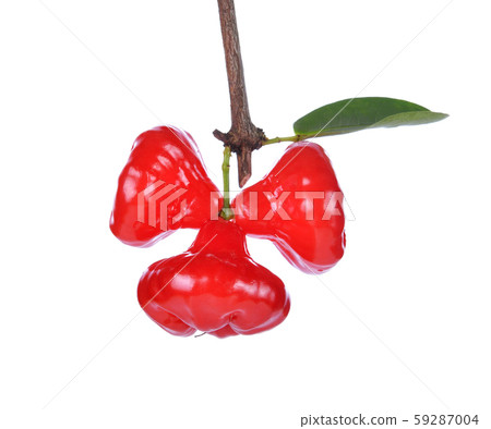 Rose apples or chomphu isolated on white 59287004