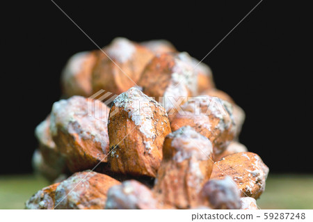 Close up of a white rot fungi decomposing a pine cone 59287248