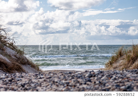 Beautiful sand dune with sea grass and sea to the horizon Beautiful sand dune with sea grass and sea to the horizon 59288652
