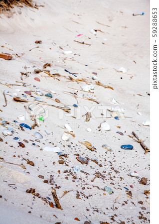 Trash plastic pollution at sandy beach seashore resort Trash plastic pollution at sandy beach seashore resort 59288653