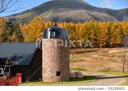 在北海道二世古拍攝筒倉和秋季落葉松森林 在北海道二世古拍攝筒倉和秋季落葉松森林 59289082