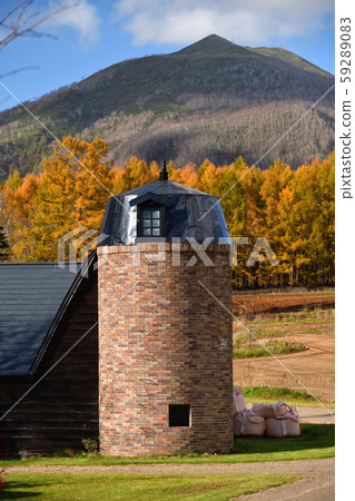 在北海道二世古拍攝筒倉和秋季落葉松森林 在北海道二世古拍攝筒倉和秋季落葉松森林 59289083