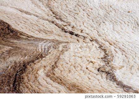 Water pollution - terribel polluted water in the Netherlands Water pollution - terribel polluted water in the Netherlands 59291063