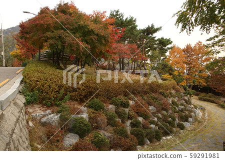 A. Hanyang. Doseong. 59291981