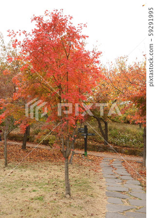 A. Hanyang. Doseong. A. Hanyang. Doseong. 59291995