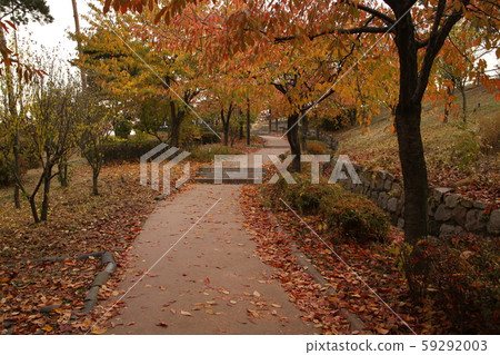 A.漢陽。大城 A.漢陽。大城 59292003